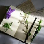 Sold-Out Junk Journal Class - Mar. 3 & 10